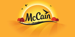 McCain logo 2013