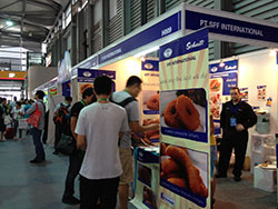 SFF-INTERNATIONAL-from-Oz