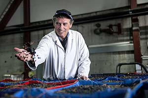 Ulf hagner bilberries