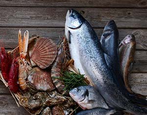 deutsche see Produkte