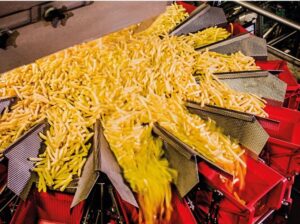 Simplot Completes Acquisition of Belgium-based Clarebout Potatoes ...